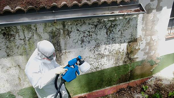 Trusted Bathroom Mold Removal service in Little Falls, NY - Cheap Mold Removal